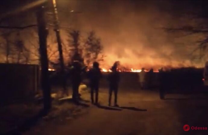 Поблизу Одеси сталася масштабна пожежа: на полях горів очерет (відео)