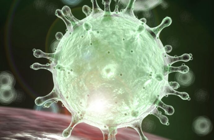 Через поширення коронавірусу на ринку «Сьомий кілометр» посилять контроль
