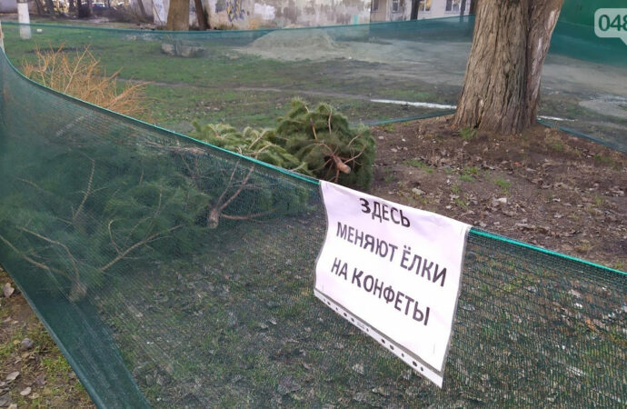 В Одесі акцію обміну ялинок на солодощі можуть продовжити в лютому