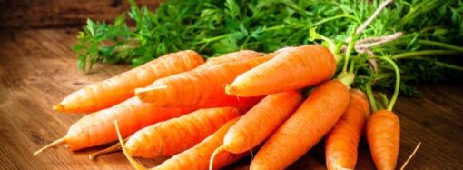 Морква — не просто їжа: цей простий овоч покращує здоров’я