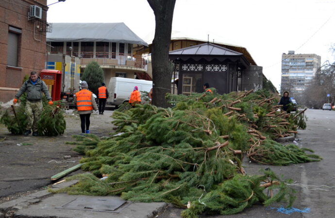 Торговцев елками в Одессе обяжут убирать за собой после Нового года
