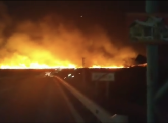 На Одещині загорілися плавні Дністра (відео)