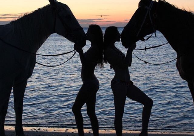 Конный клуб «Айвенго»