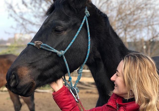 Конный клуб «Айвенго»