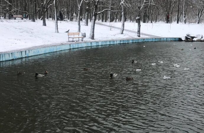 Погода на 8 лютого. В Одесі буде мороз і ожеледиця