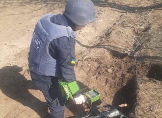 На Одещині на своєму городі чоловік знайшов 102 ручні гранати (фото)