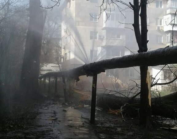 Дерево упало на теплотрассу в Одессе: жители 4 жилых домов остались без тепла