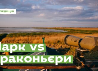 Чому так важливо вберегти нацпарк «Тузловські лимани» на Одещині: вражаюче відео та роз’яснення експертів
