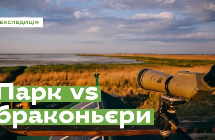 Чому так важливо вберегти нацпарк «Тузловські лимани» на Одещині: вражаюче відео та роз’яснення експертів