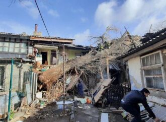 Дерево обрушилось на жилой дом в Одессе: из-под завалов спасают женщину