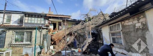Дерево обрушилось на жилой дом в Одессе: из-под завалов спасают женщину