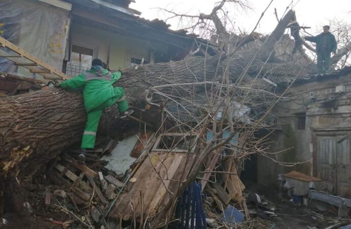 Последствия урагана в Одессе: половину обрушенных деревьев вывезли, работа транспорта восстановлена