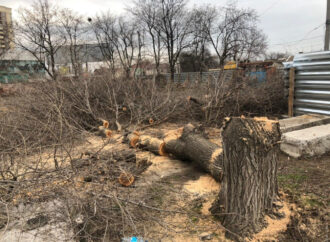 В Одессе вырубили деревья под строительство заправки