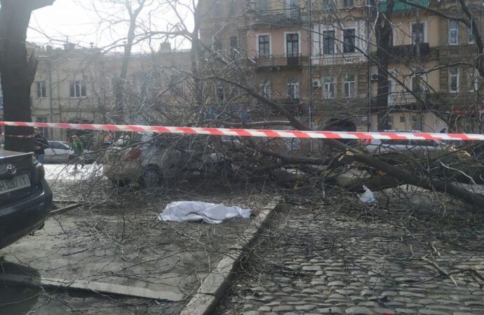 В Одессе на женщину упало дерево: она погибла