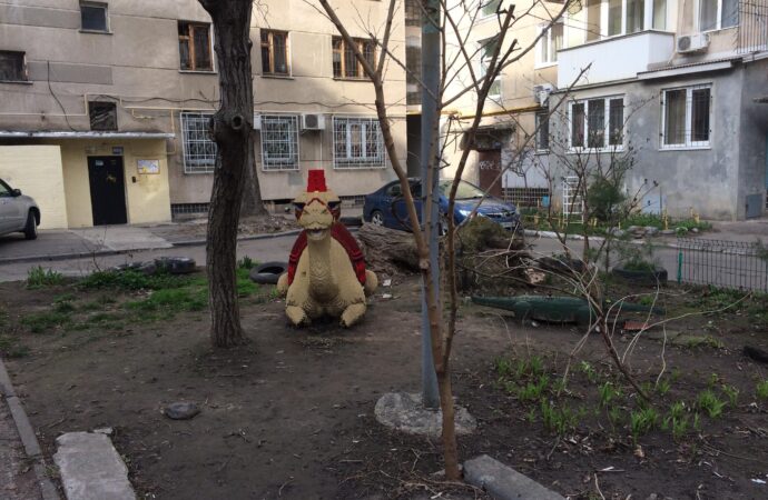 В одесском дворике поселились экзотические звери (фото)