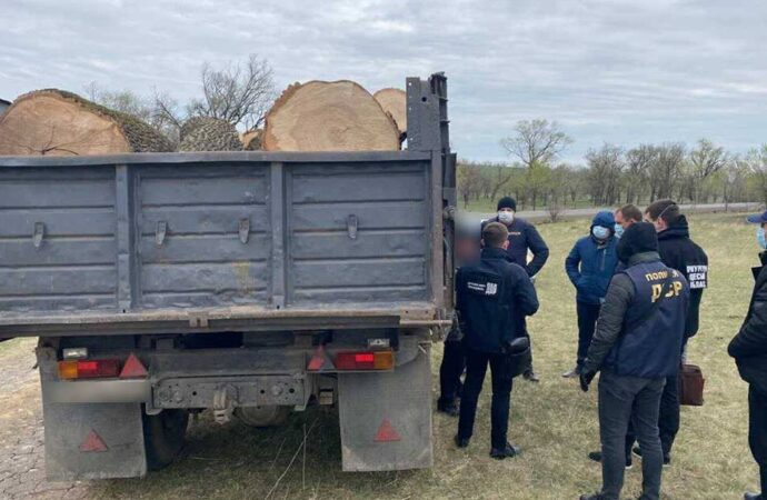 На Одещині лісника затримали під час отримання 25 000 гривень хабара