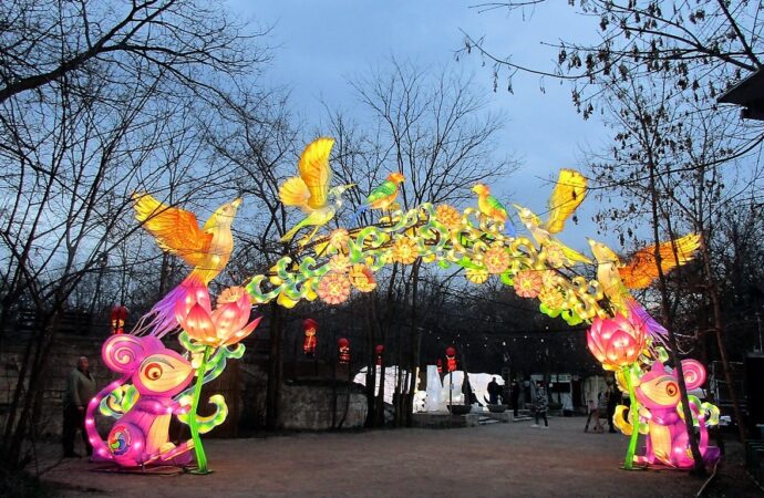 Сверкающая феерия: в Зеленом театре Одессы открылась выставка китайских мега-фонарей (фото)