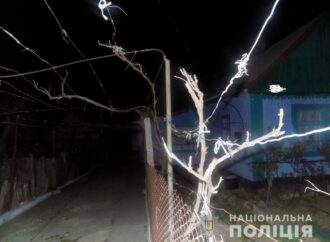 Зайшов по металобрухт: на Одещині неповнолітній хлопець вдарив лопатою жінку похилого віку