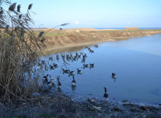 В Одесской области наполняют обмелевшие озера Придунавья