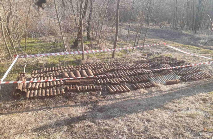 В лесополосе под Одессой нашли склад взрывоопасных снарядов (фото)