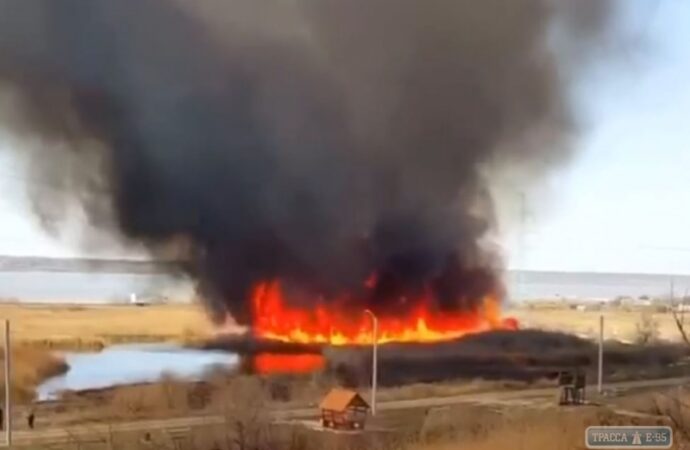 На окраине Одессы горел камыш: черный дым долетал до центра (видео)