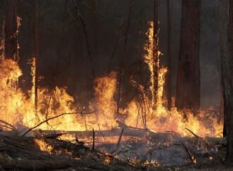 Грозят ли одесситам последствия лесных пожаров?