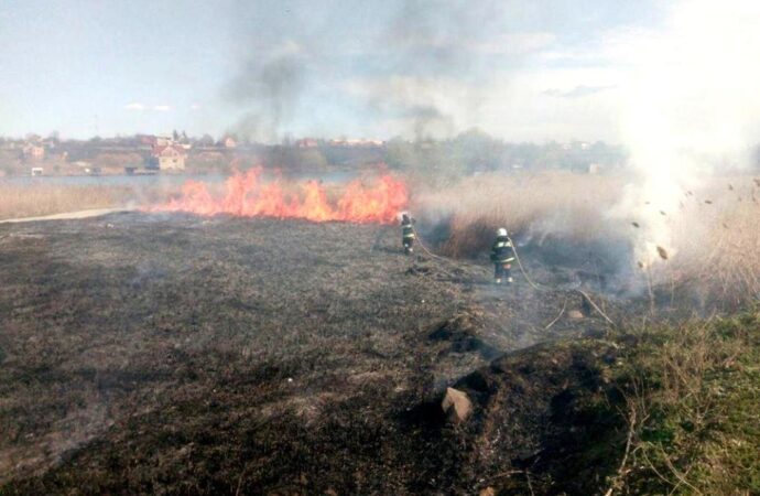 Во время пожара в природном парке на Одесчине сгорели уникальные животные и птицы