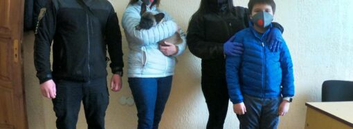 В Одессе хозяйке вернули украденную собаку (фото, видео)