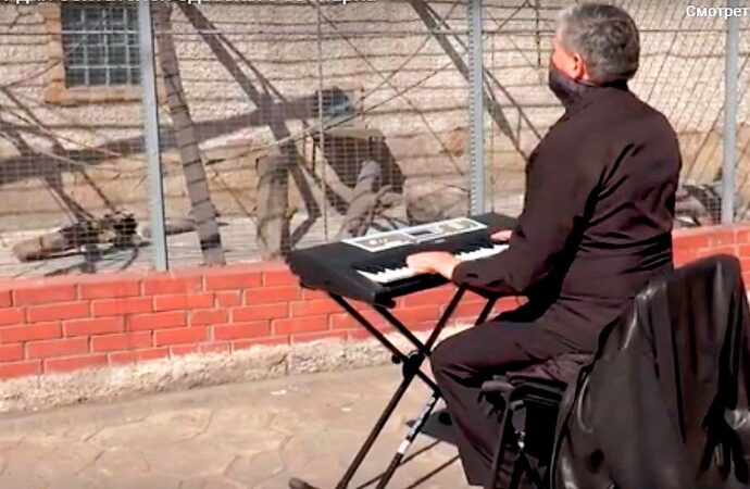 «Belle» для слонихи и «Мурка» для волков: в одесском зоопарке устроили карантинный концерт для зверей (видео)