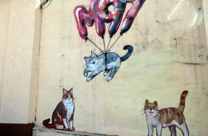 Улыбаемся: на фасаде старого одесского дома поселились котики (фото)