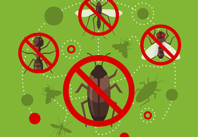 EMR (Портативные электронные отпугиватели от комаров и мошек)