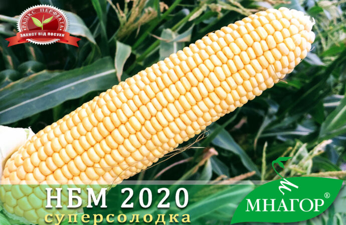 ЧП «Мнагор»