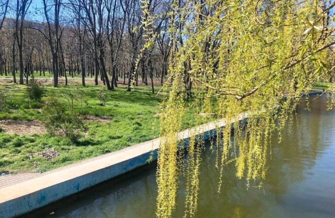 Погода на 7 квітня. В Одесі синоптики прогнозують потепління