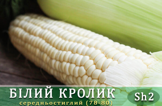 ЧП «Мнагор»