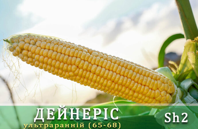 ЧП «Мнагор»