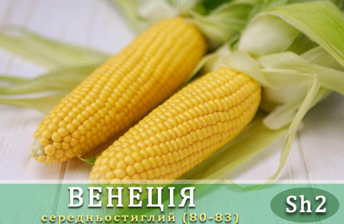 ЧП «Мнагор»