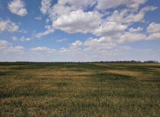 Посуха на Одещині: фермерам призначать грошову компенсацію за використання електроенергії для зрошення