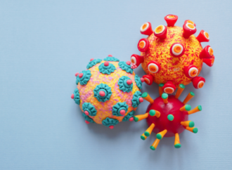 Омикрон: что известно о новом штамме коронавируса?