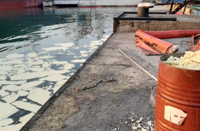 Викид пальмової олії у порту «Південний»: власник судна може заплатити 65 млн грн збитків