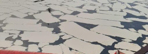 На Одещині в акваторію Чорного моря вилилося майже 8,5 тонн пальмової олії (фото)