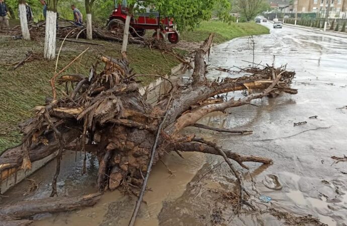 На Одесчине дождь с градом повредил дороги, деревья, дома и мосты (фото)