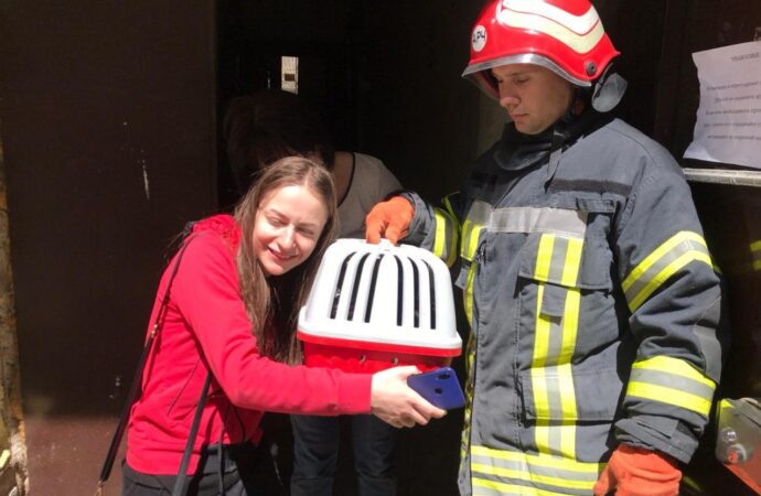 Під уламками будівлі на Торговій, 20 рятувальники знайшли домашнього кота