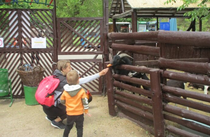 Что произошло в Одессе 15 мая: извинения губернатора и открытие Одесского зоопарка