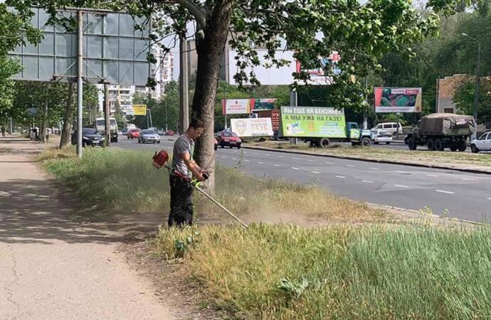 В Дюковском парке Одессы – благоустройство: очистят пруды и установят крышки люков