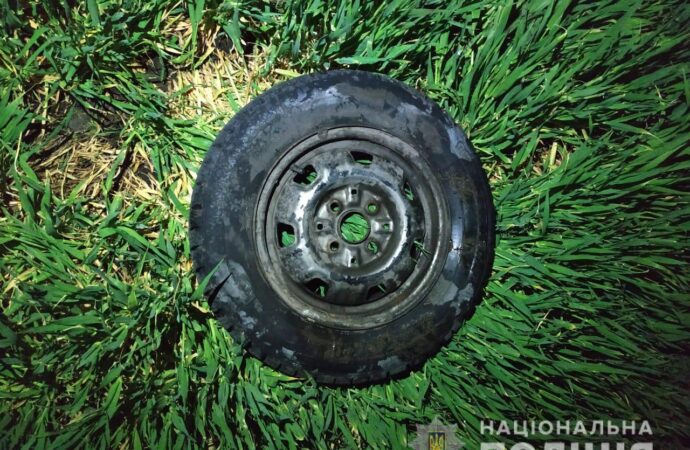 В Одесской области преступник, укравший колесо и компрессор, пытался спрятаться в лесу