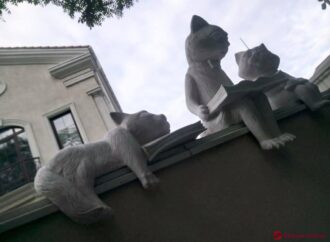 На Французском бульваре появились «Читающие коты» (фото)