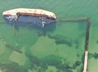 В Одесі неподалік танкера Delfi знайшли мертвого дельфіна (відео)