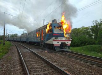 Что произошло в Одессе 1 июня: пожар в приюте для животных и на железной дороге