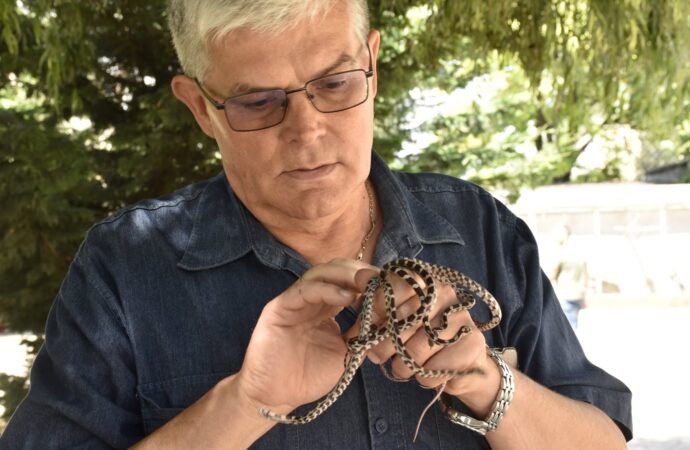 В Одесском зоопарке расплодились змеи (фото)