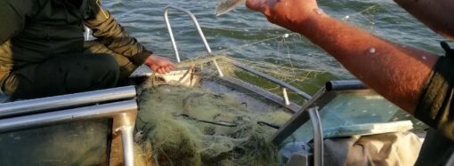 У Хаджибейський лиман рибпатруль повернув майже півтонни риби
